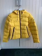 jas of damesjas Superdry maat 36 XS geel NIEUW, Ophalen, Zo goed als nieuw, Maat 34 (XS) of kleiner, Jack