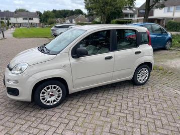 Fiat Panda 0.9 Twinair 44KW 2016 Bruin beschikbaar voor biedingen