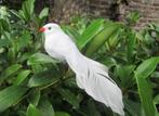 VOGELTJES