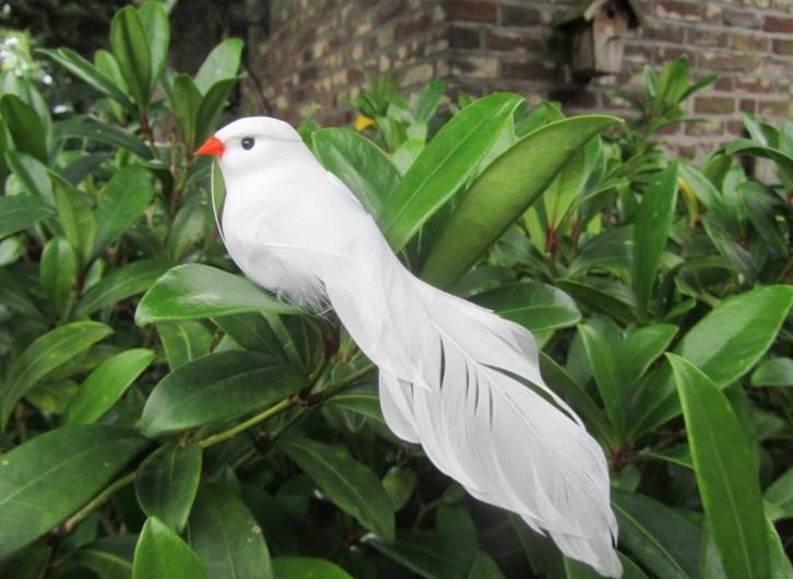VOGELTJES, Hobby en Vrije tijd, Knutselen, Nieuw, Knutselwerk, Ophalen of Verzenden