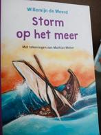 Willemijn de Weerd - Storm op het meer, Ophalen, Zo goed als nieuw, Willemijn de Weerd