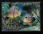 nl2024-2 vissen bonaire, Ophalen of Verzenden, Na 1940, Gestempeld