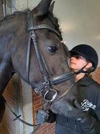 Verzorgpaard of verzorgpony gezocht in omgeving Hoorn, Ophalen, Zo goed als nieuw