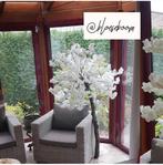 Bloesemboom, Ophalen, Nieuw, Binnen