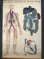 Schoolplaat uit 1926 van van Goor’s wandplaten EHBO no 3, Antiek en Kunst, Antiek | Schoolplaten, Ophalen of Verzenden, Natuur en Biologie