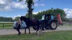 Verkeers- en tractortraining voor paarden, Diensten en Vakmensen, Dieren | Paarden | Verzorging, Oppas en Les