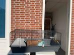 Groot Konijnhok  (119 cm lang), Dieren en Toebehoren, Ophalen, 110 cm of meer, Zo goed als nieuw, 90 cm of meer