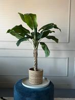 Kunst bananenplant 100 cm (Emerald), Ophalen of Verzenden, Minder dan 100 cm