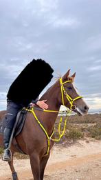 Nieuwe Gele Endurance Set, Dieren en Toebehoren, Ophalen, Nieuw