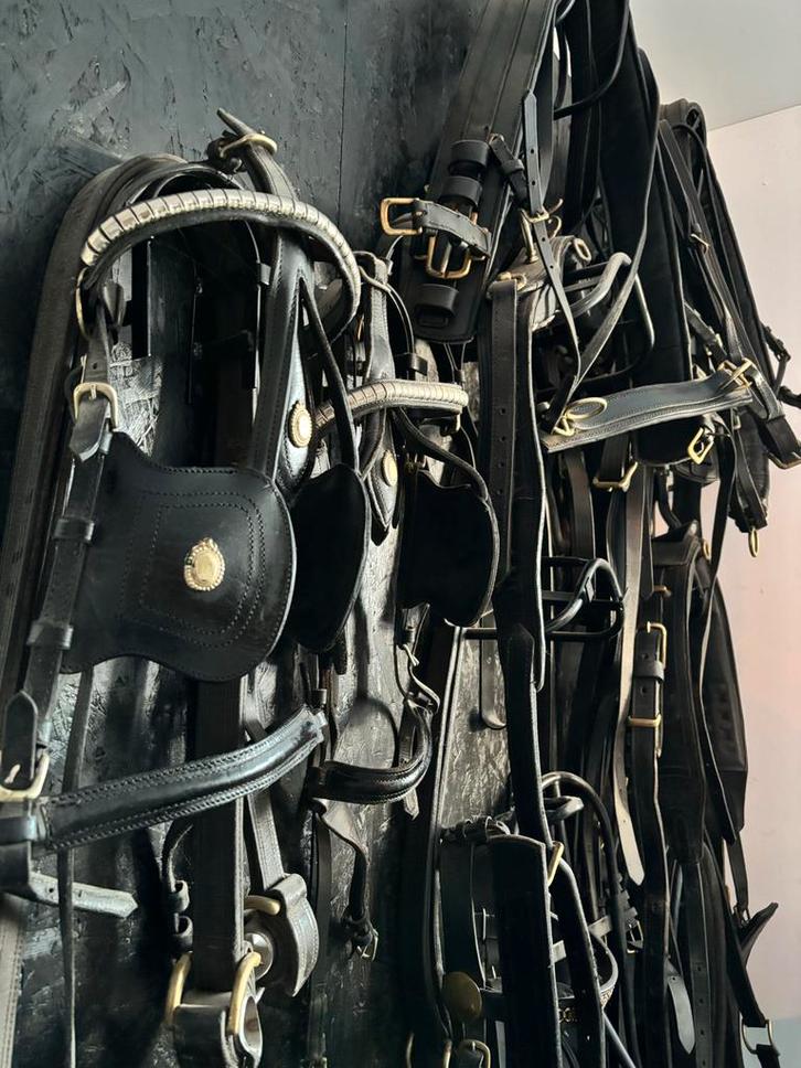 Dubbelspan tuig full met mooie details, Dieren en Toebehoren, Paarden en Pony's | Hoofdstellen en Tuigage, Overige soorten, Ophalen