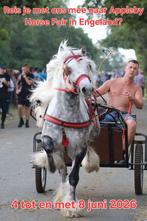 Reis je mee naar een grote tinker paardenmarkt in Engeland?, Ophalen of Verzenden, Nieuw