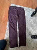 CECIL broek maat 34 (XS) elastisch, Paars, Ophalen of Verzenden, Maat 34 (XS) of kleiner, Lang