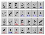 Arabisch les voor beginners en gevorderde!, Privéles, Taalles