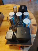 Buizen versterker monoblock, Audio, Tv en Foto, Versterkers en Receivers, Gebruikt, Ophalen, Overige merken, Minder dan 60 watt