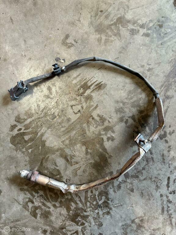 Lambdasonde Volvo XC90 I ('02->) 0258006541, Gebruikt, Ophalen of Verzenden, Volvo, Volvo