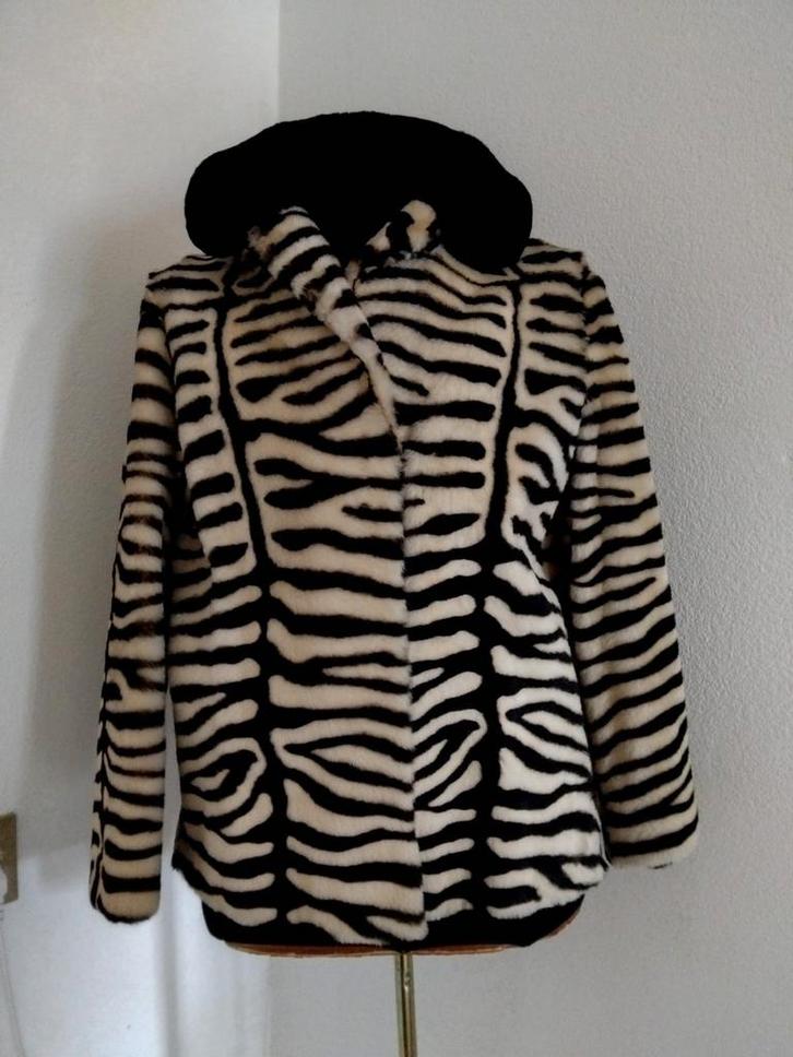 Antieke Zebra Bontjas - Zolder Vondst, Kleding | Dames, Jassen | Winter, Gedragen, Maat 38/40 (M), Zwart, Ophalen of Verzenden