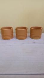 Binnen bloempotten geel (7 cm bij 8 cm), Ophalen, Rond, Aardewerk, Binnen