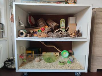 Huis vol toebehoren voor hamsters ook voor hamsterscaping beschikbaar voor biedingen