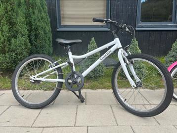 White from 6 to 8 years old beschikbaar voor biedingen