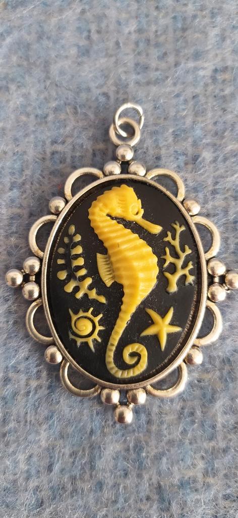 Zeepaardje ovale hanger  kunststof/metaal, vintage.., Sieraden, Tassen en Uiterlijk, Kettinghangers, Zo goed als nieuw, Overige materialen