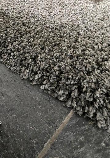 Vloerkleed muisgrijs 240 x 340 cm. beschikbaar voor biedingen