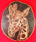 gepersonaliseerde items dmv hobby PYROGRAFIE Creamar, Ophalen of Verzenden, Nieuw, Overige typen, Overige