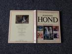 Honden boek David Alderton Leer uw hond beter begrijpen, Gelezen, Honden, David Alderton, Ophalen of Verzenden