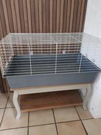 Knaagdieren kooi incl toebehoren, Kooi, Gebruikt, 75 tot 110 cm, Cavia