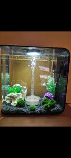 Biorb aquarium 30 liter compleet, Ophalen, Zo goed als nieuw, Gevuld zoetwateraquarium