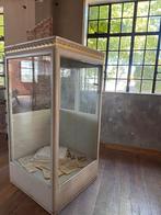 Oude Museumkast/ Vitrinekast /Winkelkast, Antiek en Kunst, Ophalen
