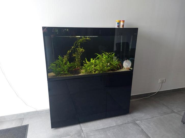 Aquarium aquael 260 liter, Dieren en Toebehoren, Vissen | Aquaria en Toebehoren, Zo goed als nieuw, Gevuld zoetwateraquarium, Ophalen
