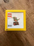 Lego 6432433 vip dragon adventure ride nieuw in doos, Ophalen of Verzenden, Nieuw, Complete set, Lego
