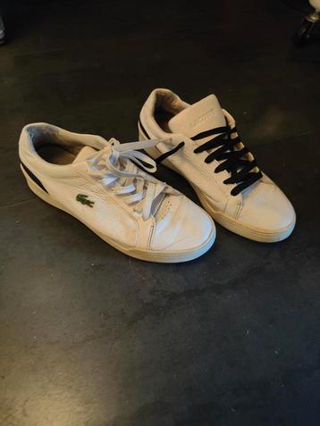 Lacoste Sneakers Wit Maat 42 beschikbaar voor biedingen