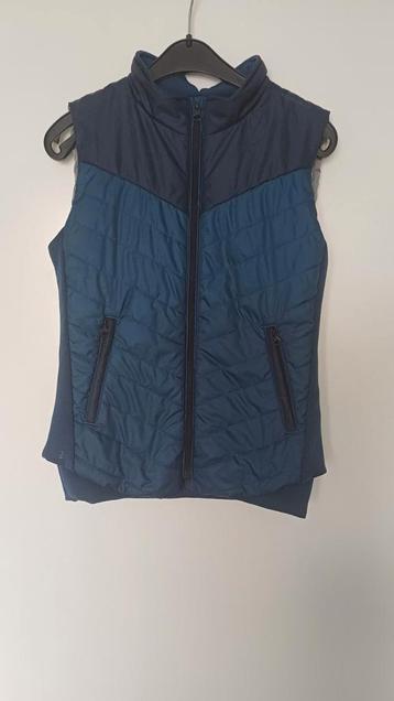 Bodywarmer paardrijden maat 146 152 beschikbaar voor biedingen