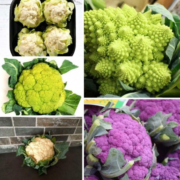 Bloemkool zaden, Tuin en Terras, Bloembollen en Zaden, Zaad, Verzenden