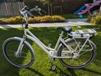 Cortina Roots Economo Elektrische Moederfiets, Fietsen en Brommers, Ophalen, Gebruikt, Cortina