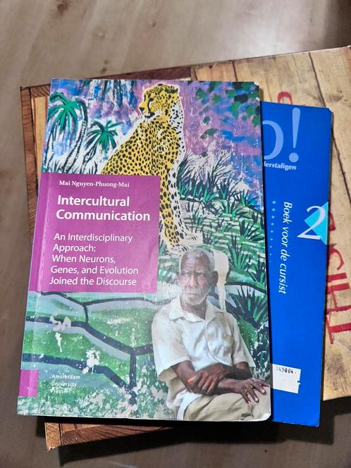Mai Nguyen-Phuong-Mai - Intercultural Communication, Boeken, Wetenschap, Zo goed als nieuw, Ophalen