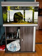 Aquatlantis Aquarium 80cm, Ophalen, Leeg aquarium