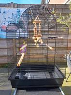 Vogelkooi met toebehoren, Dieren en Toebehoren, Ophalen, Zo goed als nieuw, Metaal, Vogelkooi