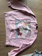 Colourful Rebel Trui - Maat S, Ophalen of Verzenden, Zo goed als nieuw, Maat 36 (S), Roze