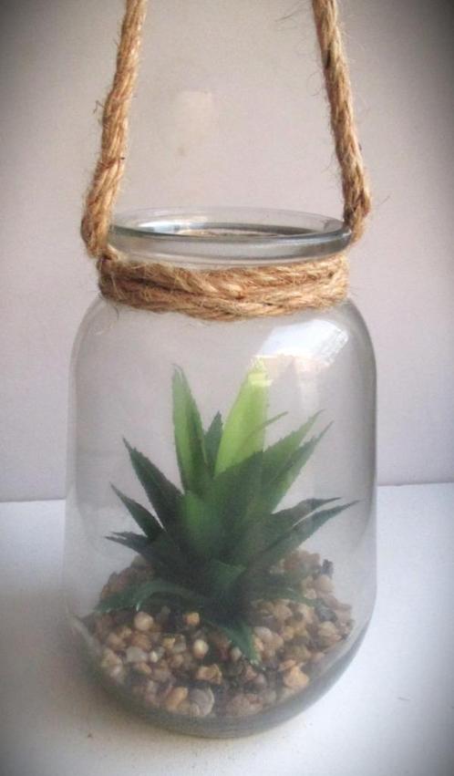 Cactus~Vetplant in Glazen Hanger~Bloempot~Hangbloempot, Huis en Inrichting, Woonaccessoires | Kunstplanten en Kunstbloemen, Zo goed als nieuw