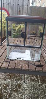 Terrarium, Dieren en Toebehoren, Reptielen en Amfibieën | Toebehoren, Ophalen, Gebruikt, Terrarium of Paludarium