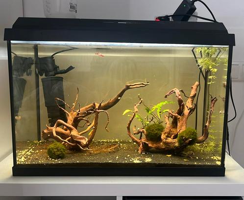Juwel Record 600, Dieren en Toebehoren, Vissen | Aquaria en Toebehoren, Gebruikt, Ophalen