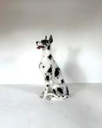 Vintage XXL Italiaans keramieken Deense Dog ‘60, Verzamelen, Ophalen of Verzenden, Zo goed als nieuw, Dier