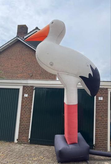 Te huur geboorte ooievaar. beschikbaar voor biedingen