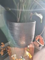 Grote bloempot, Gebruikt, Rond, Binnen, Minder dan 40 cm