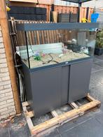 Aquarium te koop compleet met Eheim kast, Ophalen, Zo goed als nieuw, Leeg aquarium