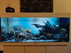 Mooi Juwel Aquarium, Dieren en Toebehoren, Ophalen of Verzenden, Zo goed als nieuw