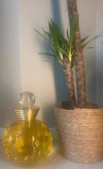 Giant fractice/ dior dolce vita, Ophalen, Zo goed als nieuw