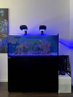 Compleet aquarium system Red Sea 350 G2+,, Dieren en Toebehoren, Vissen | Aquaria en Toebehoren, Ophalen, Zo goed als nieuw, Gevuld zeewateraquarium